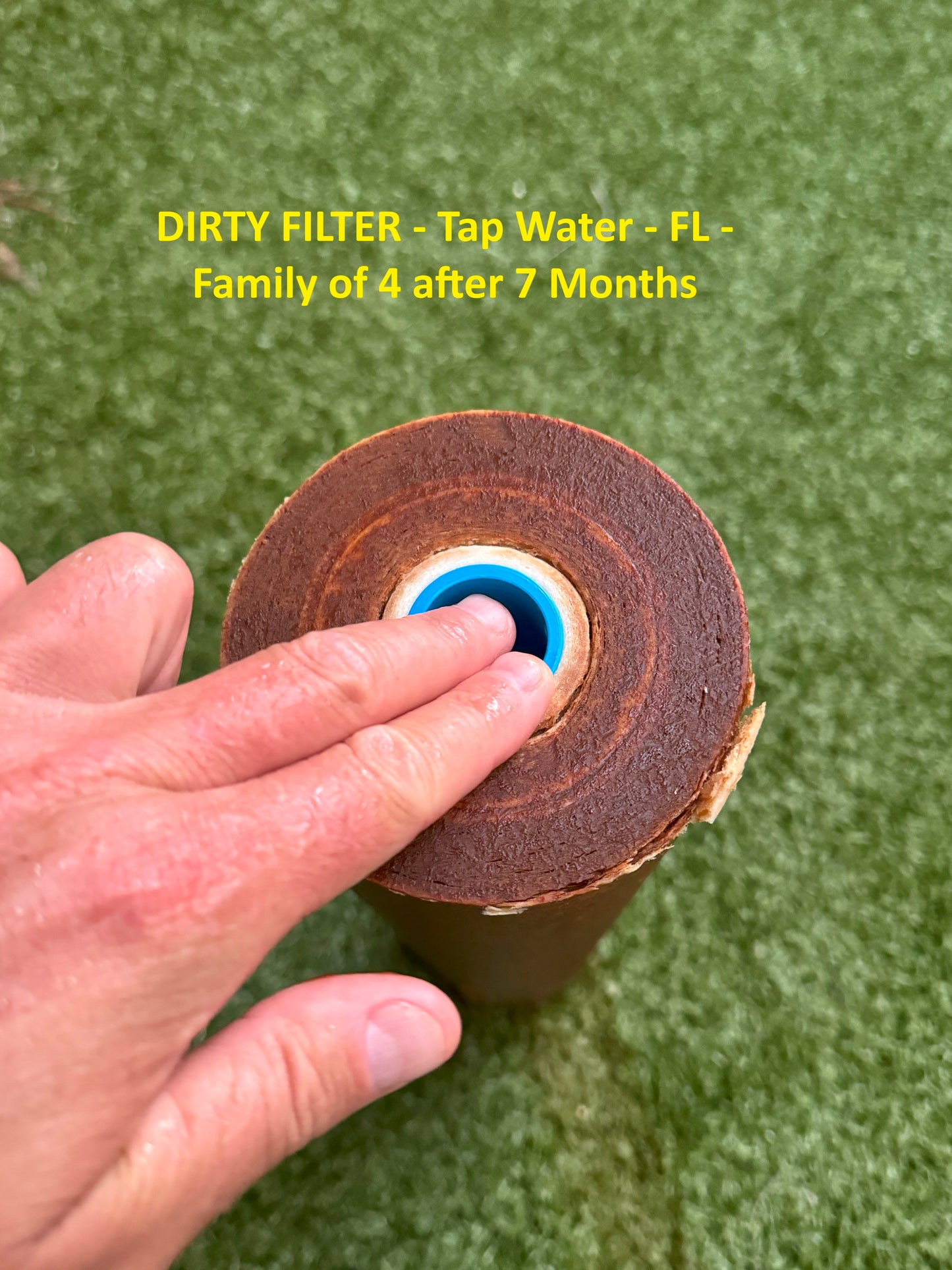 Whole House Filtration, AntiScale, w/Carbon Filters - NO Salt Softening